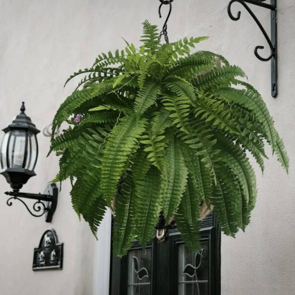 FernLuxe | UV-bestandig Künstlicher Boston Fern med 18 Grene