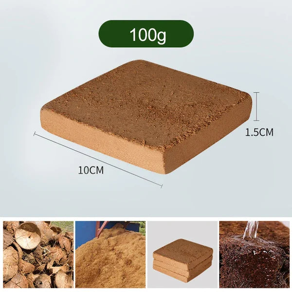EcoGrow | Økologiske Kokosfibre til Planter Nuvenci.dk