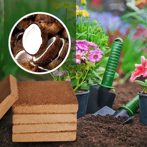 EcoGrow | Økologiske Kokosfibre til Planter Nuvenci.dk