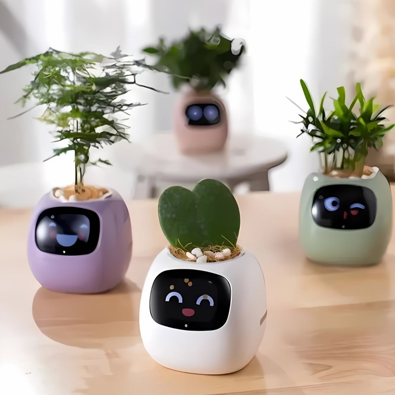 HappyIvy | SMART Blomsterkrukke til automatisk plantepleje Nuvenci.dk