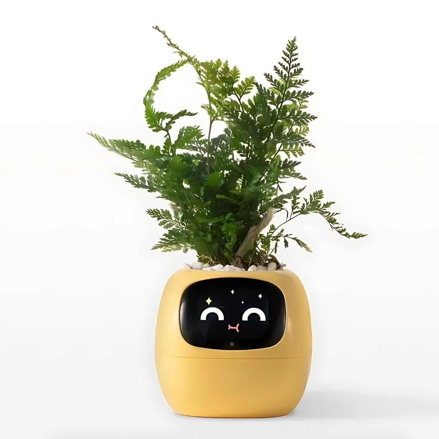 HappyIvy | SMART Blomsterkrukke til automatisk plantepleje Gul Nuvenci.dk