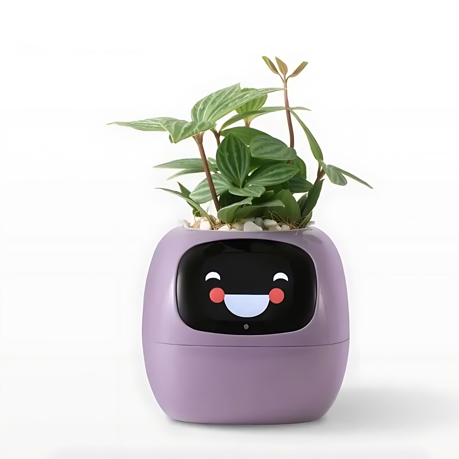 HappyIvy | SMART Blomsterkrukke til automatisk plantepleje Lilla Nuvenci.dk
