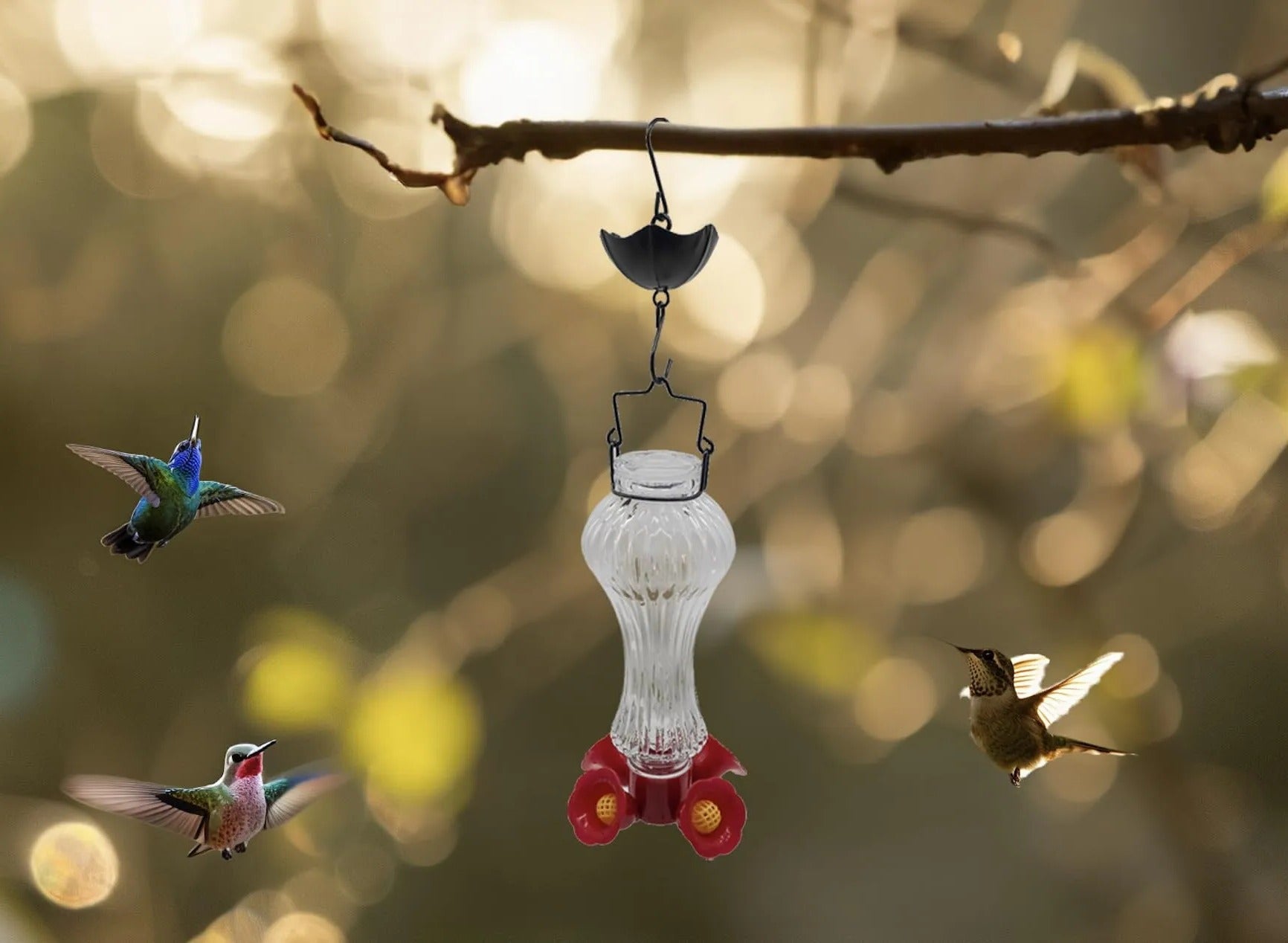 HummiJoy | Blomsterformet Kolibri-Foderautomat med Myggebeskyttelse