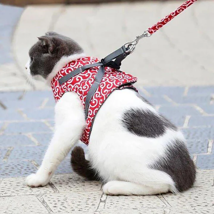 KittyComfort | Flugtsikkert kattesele-sæt Nuvenci.dk