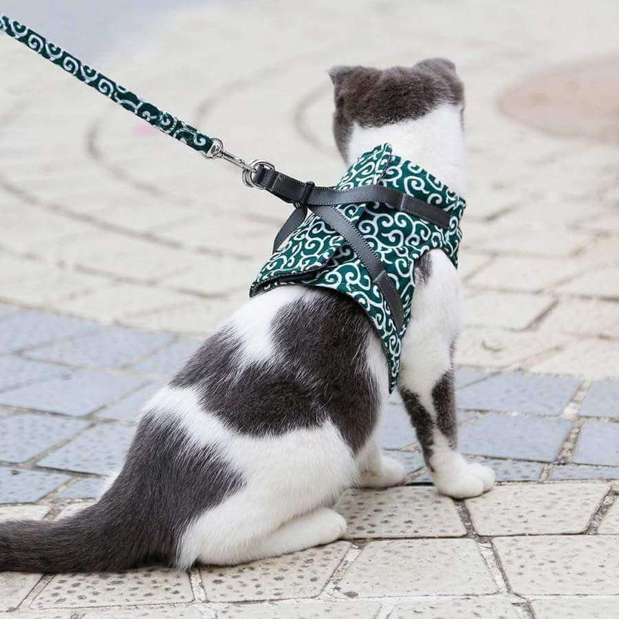 KittyComfort | Flugtsikkert kattesele-sæt Grøn Nuvenci.dk