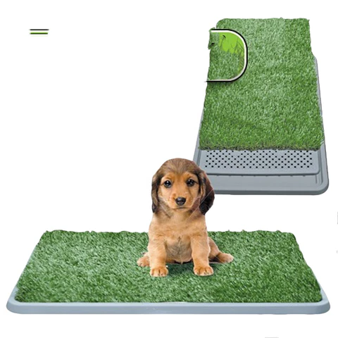 GrassPaws | Realistisk Kunstgræs til Hundetræning