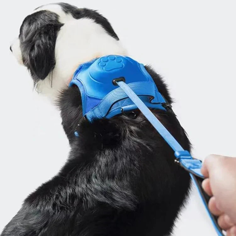 PawLink | Holdbar og Komfortabel Hundesnor Blå Nuvenci.dk