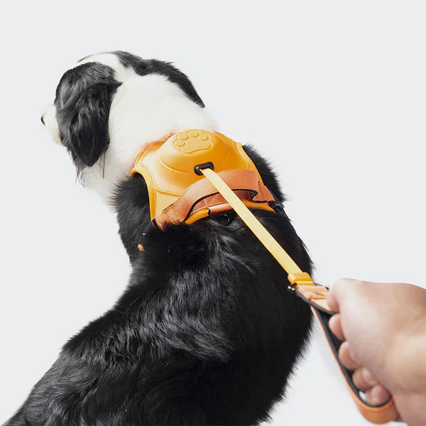 PawLink | Holdbar og Komfortabel Hundesnor Orange Nuvenci.dk