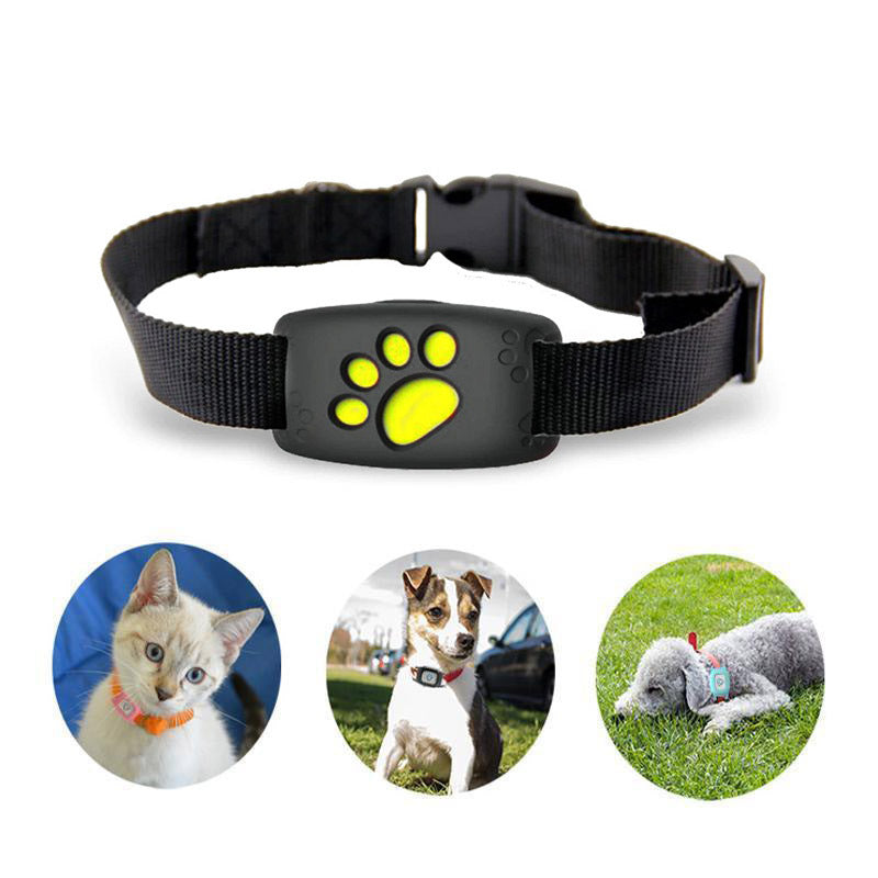 PawLocator | GPS Kattehalsbånd – Hold Styr på Din Kat Overalt Sort Nuvenci.dk