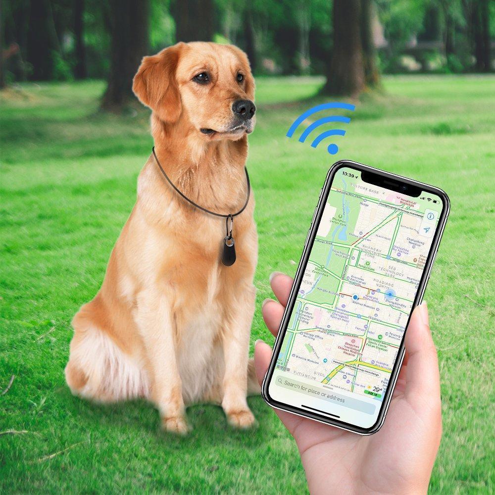 PawsPoint | GPS Tracker til Kæledyr – Real-time Sporing & Sikkerhed Nuvenci.dk