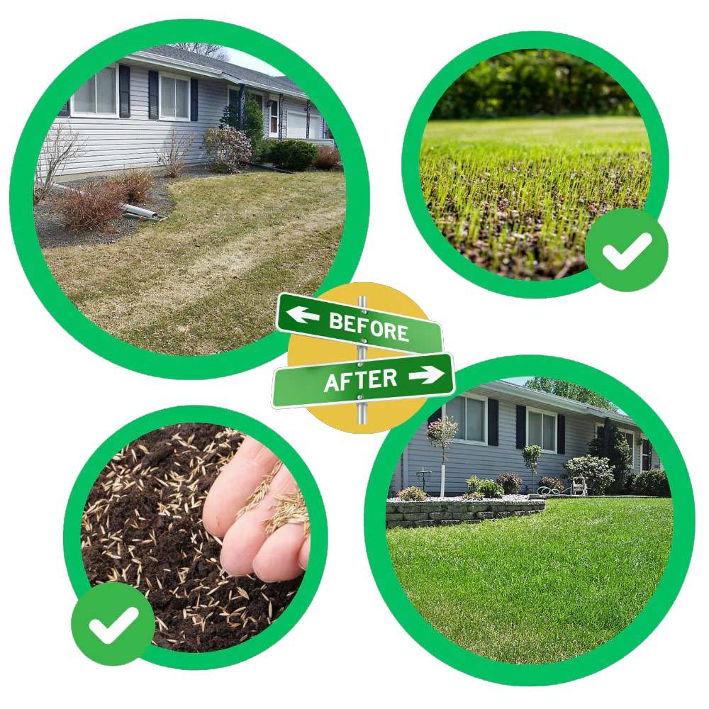 GrassMate | Græsreparationsmåtte til bare pletter