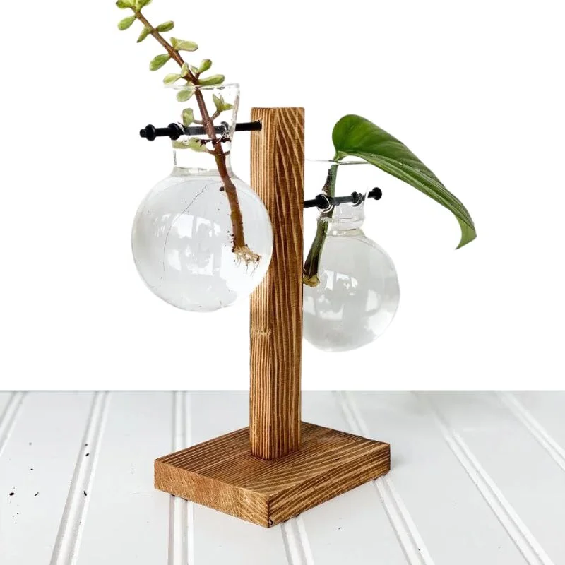 RootFrame | Træramme Hydroponisk Plantevase Nuvenci.dk