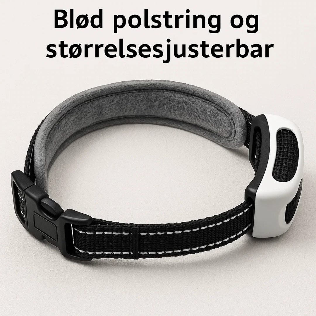 TailZone | Avanceret Trådløst Hundesikringssystem Nuvenci.dk