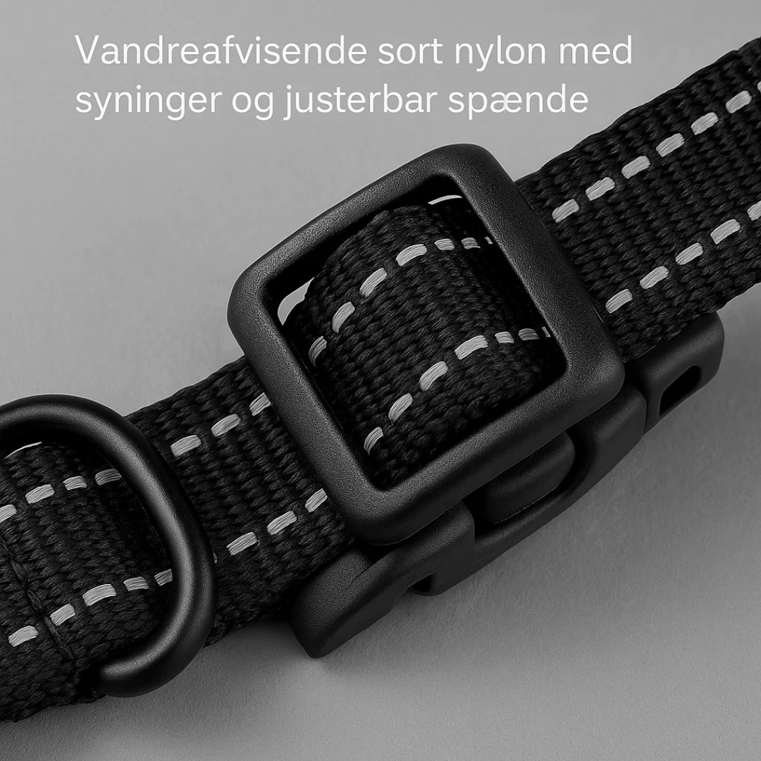 TailZone | Avanceret Trådløst Hundesikringssystem Nuvenci.dk