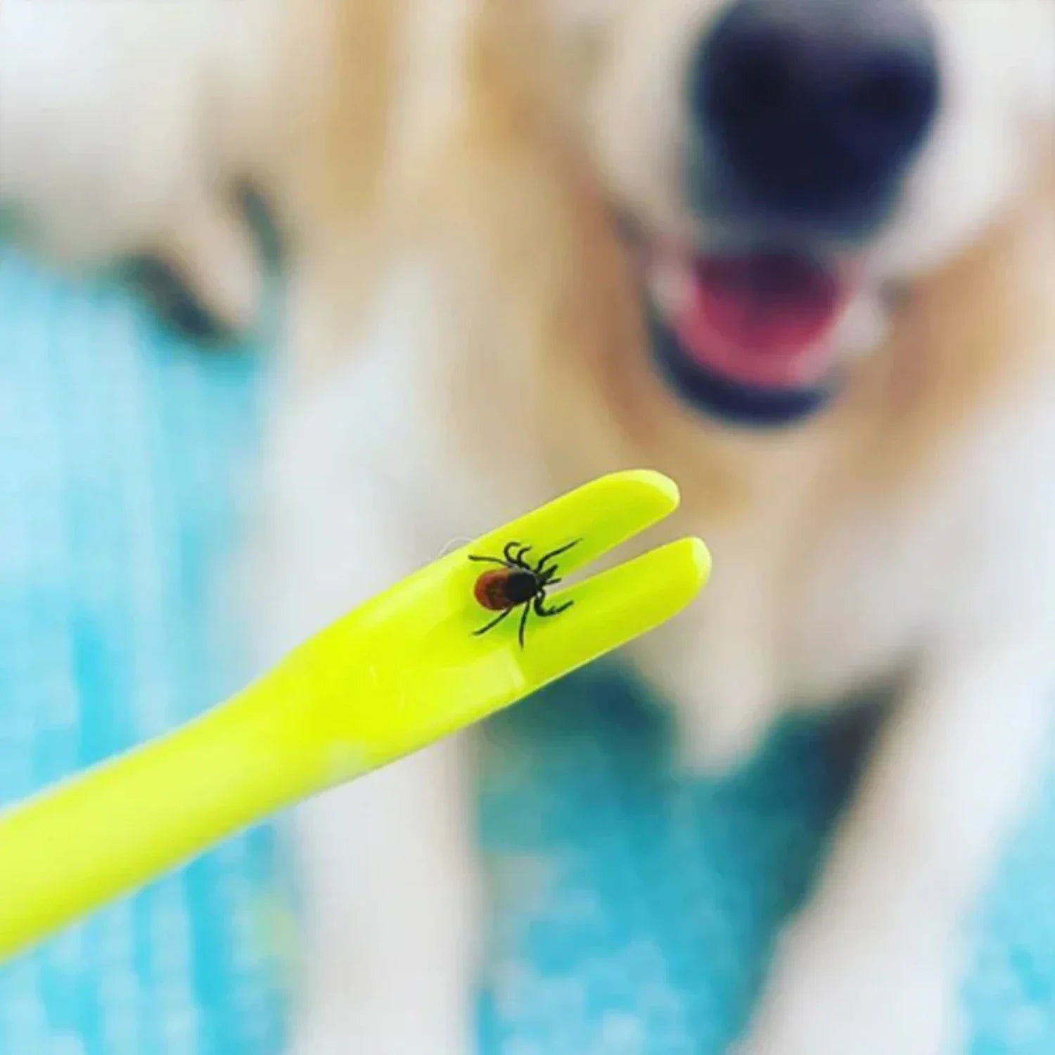 TickAway | Tickfjerningsværktøj til hunde og kæledyr Nuvenci.dk