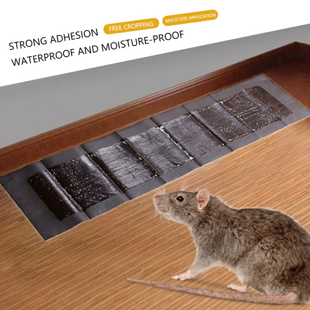 TrapMax | 5 Ekstra-Større Klæbefælder til Mus og Rattene Nuvenci.dk